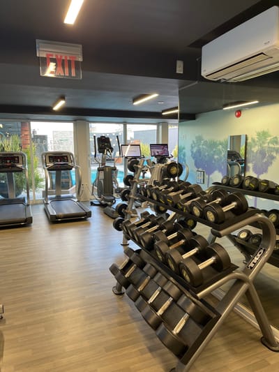 A brightly lit gym showcases a dumbbell rack filled with weights, an elliptical machine, and treadmills. A mural of palm trees adorns the wall behind the equipment. Outside the window, a swimming pool and city buildings are visible. An EXIT sign is displayed on the left wall. The ceiling features modern lighting fixtures.