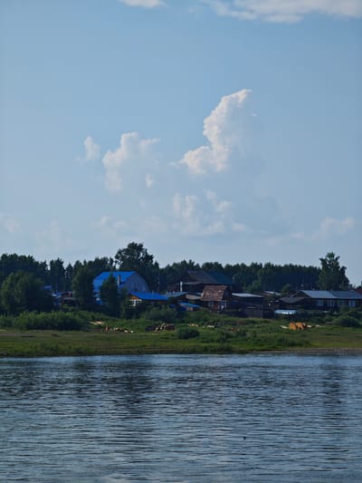 The image depicts a serene riverfront scene in the village of Verkhne-Pashino, Russia, under a bright, partially cloudy sky. In the foreground, the dark blue water of the river exhibits gentle ripples, indicating a calm day. A small, dark bird is visible in flight above the water.
The middle ground showcases the village of Verkhne-Pashino, nestled along the riverbank. A line of lush green trees and vegetation forms a natural barrier between the water and the residential area. Several houses are visible, characterized by their varying architectural styles and colorful roofs, with a prominent blue-roofed house standing out. Some of the houses appear to be constructed from wood. Piles of logs and wood are scattered on the grassy bank in front of the houses, suggesting a connection to the timber industry or local resource utilization.
The background is dominated by a dense forest, further enhancing the natural, rural ambiance of the location. The sky above is a pale blue, adorned with scattered white cumulus clouds, with one particularly large, puffy cloud formation drawing attention. The overall impression is one of a tranquil, picturesque Russian village, harmoniously integrated with its natural surroundings.