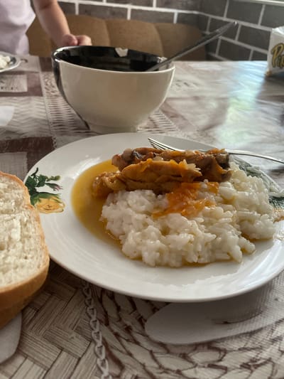 A close-up, angled shot captures a meal on a table, likely in a home setting in Zarichne, Ukraine. The focal point is a white plate filled with a meal of rice and what appears to be chicken or pork in a light yellow sauce. The rice is fluffy and white, while the meat is a golden brown with visible pieces of skin and bone. A fork rests on the plate, indicating the meal is about to be eaten or is in progress. To the left of the plate, a white ceramic bowl with a metallic interior is partially visible, and a child's hand can be seen reaching towards it. In the foreground, a slice of white bread with a textured crust sits on the table. The table is covered with a textured, woven placemat in shades of brown and beige. In the background, a white tablecloth with a fringe detail is visible, along with what looks like a window or light source casting a bright reflection on it. There is also a hint of a colorful object or packaging in the upper left corner. The overall impression is a casual, home-cooked meal, possibly lunch or dinner, given the natural lighting. No specific time of day or weather conditions are discernible, but the scene evokes a sense of domestic comfort and simple enjoyment.
