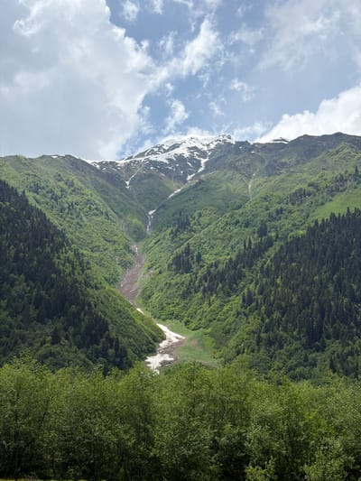 The image depicts a panoramic view of a mountainous landscape in Mazeri, Georgia. In the foreground, lush green trees and bushes create a dense canopy, partially obscuring the view of the middle ground. The middle ground is dominated by steep, verdant slopes covered in a dense forest of evergreen trees, primarily dark green pines and lighter green deciduous trees. A prominent feature in the middle ground is a valley or ravine that cuts through the mountainside. This valley contains a winding path of light-colored soil and scattered patches of snow, suggesting a recent snowmelt or a persistent snowfield. Further up the valley, a thin waterfall or stream can be seen cascading down the rocky mountainside. The background features the upper reaches of the mountains, with rocky outcrops and patches of snow on the highest peaks. The sky above is a pale blue, with scattered white clouds. The overall impression is one of a wild, natural, and rugged mountain environment. There are no people or man-made structures visible in the image.