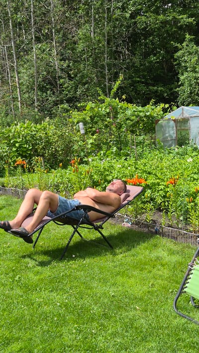In a lush green garden, a shirtless man wearing denim shorts and black sandals reclines on a brown lounge chair, his arms crossed and eyes closed, seemingly asleep or basking in the sun. The chair is positioned on a manicured lawn. Behind him, a dense backdrop of trees and foliage creates a natural boundary. In the mid-ground, vibrant orange lilies and other green plants are in bloom, suggesting a summer day. A small greenhouse with a clear plastic roof and frame is visible to the right. The overall scene depicts a peaceful, leisurely moment outdoors in what appears to be a private residence in Ļūbaste, Latvia, given the prompt's context.