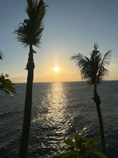 A scenic shot shows a body of water, likely the ocean, reflecting the sun's rays, with two palm trees framing the scene. The perspective is slightly tilted, adding a dynamic feel to the composition. The sky is a gradient of soft blues and yellows, indicating either sunrise or sunset. Some greenery is visible in the foreground, adding depth and interest to the scene. The image likely captures the natural beauty of Senggigi, Indonesia.