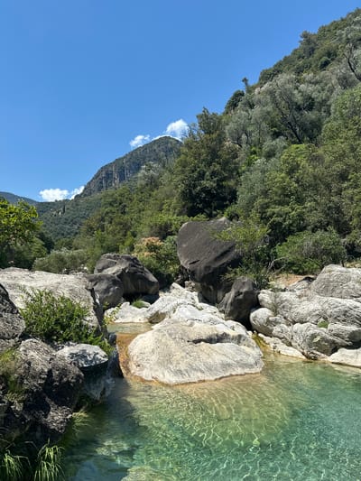 A natural landscape photograph taken from a low angle features a clear, shallow river flowing over smooth rocks. The water is a vibrant turquoise and green, with sunlight creating shimmering patterns on its surface. Large, smooth boulders are scattered along the riverbanks, with smaller rocks and pebbles visible beneath the water. Lush green vegetation, including trees and bushes, grows on the rocky slopes that rise behind the river. In the background, a majestic mountain range is visible under a bright blue sky with a few scattered white clouds. The scene is serene and untouched, evoking a sense of natural beauty and tranquility. The location is identified as Rocchetta Nervina, Italy.