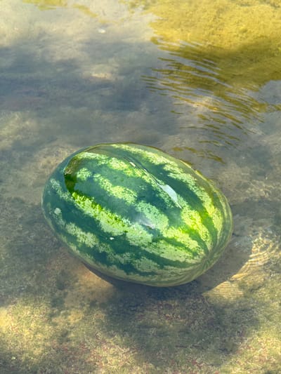 A whole watermelon is submerged in shallow, clear water. The watermelon is round with dark green stripes on a lighter green background. Its rind is slightly glossy, and small droplets of water cling to its surface. The water is transparent, revealing the rocky, sandy bottom below. Sunlight filters through the water, creating dappled patterns and reflections on the watermelon's surface and the streambed. To the left of the watermelon, the water is clearer with visible ripples, suggesting a gentle current or disturbance. The streambed on the right appears more textured, with a mix of sand, small rocks, and possibly some algae or aquatic plants. The overall scene evokes a sense of freshness and a natural, outdoor environment. The lighting suggests it is daytime, likely sunny, given the bright reflections and shadows. The location context suggests this is a natural water body, possibly a river or stream, in Mazići, Montenegro. There is no visible text in the image.