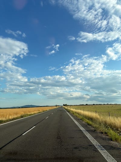 The image depicts a rural road scene in Trebišov, Slovakia, under a partly cloudy blue sky. The asphalt road, with a white line marking its center and edge, stretches into the distance, flanked by fields of golden wheat and green grass. A flock of birds is visible in the sky above the distant horizon. Wooden fence posts dot the grassy area to the right of the road. The overall impression is one of open space and a journey through the Slovak countryside.