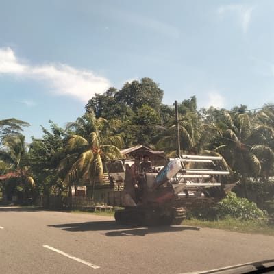 The image captures a daytime scene featuring a combine harvester with two men on board, positioned on the side of a paved road. The machinery, equipped with tracks rather than wheels and a prominent harvesting mechanism, appears to be stopped or moving slowly. One man is seated at the controls, while another stands near him.
The background is dominated by lush, tropical vegetation, including numerous tall palm trees and dense green foliage, suggesting a rural or semi-rural setting. Small, simple structures, likely houses or sheds with wooden elements and corrugated roofs, are partially visible behind the trees and the machine. A utility pole with a street light stands on the right side, with overhead power lines.
The sky is clear and bright blue with scattered, wispy white clouds, indicating sunny weather. Strong, distinct shadows are cast on the asphalt road by the combine harvester, suggesting it is mid-morning or early afternoon. The road has a single faded white line on its left edge.
A notable detail is the word "BINGO" emblazoned on the side of the combine harvester in a colorful, splash-like font. Other text is present but illegible. The photograph seems to have been taken from a low angle, possibly from inside a moving vehicle. The tropical environment and agricultural machinery align with the provided location context of Cotentung, Indonesia.