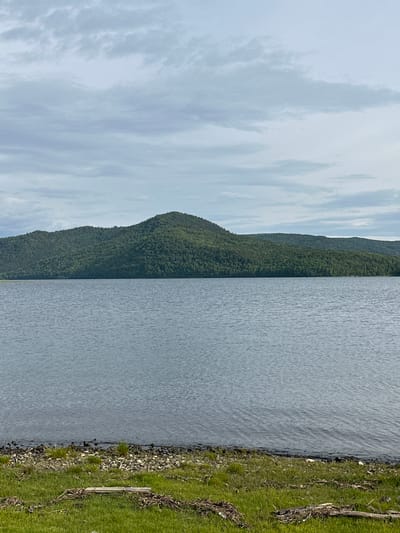 The image shows a serene natural landscape with a body of water in the foreground and a tree-covered hill in the background. The water is calm, with subtle ripples on its surface. The shore is lined with pebbles and patches of green grass. The hill, densely covered with lush green trees, rises majestically from the opposite side of the water. The sky above is overcast with layers of gray clouds, suggesting a cool, perhaps misty day. The overall impression is one of tranquility and the unspoiled beauty of nature. The scene is likely located in or near Bolshaya Rechka, Russia, a place known for its natural landscapes and proximity to bodies of water. There are no people or any visible signs of human activity in the immediate vicinity, emphasizing the natural and undisturbed character of the environment. The lighting is diffused due to the cloudy sky, casting a soft, even light over the entire scene.
