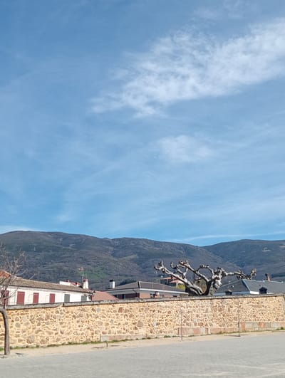 The scene depicts a static, outdoor environment in Piedrahíta, Spain, under a clear, light blue sky with scattered wispy white clouds. In the foreground, a light gray paved surface, possibly a plaza or street, occupies the bottom quarter of the frame. This paving transitions into a narrow strip of bare, sandy ground immediately preceding a substantial stone wall. The wall is constructed from irregularly shaped, light brown and tan stones.
Behind the stone wall, several structures are visible. These include buildings with white facades, terracotta-tiled roofs, and some feature dark red window shutters. Exposed chimneys are present on several rooftops, along with a television antenna on one. A large, prominent deciduous tree, devoid of leaves, with a thick, gnarled trunk and twisted, bare branches, extends upwards from behind the wall on the right side of the image, appearing to grow over the rooftops of the buildings. A slender, bare tree trunk is partially visible on the far left, bordering the paved area.
The midground is dominated by a range of dark, rolling mountains, appearing sparsely vegetated or treeless, stretching across the horizon beneath the sky. No individuals or dynamic actions are present in the image.