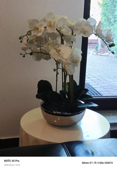 The image features a close-up view of a potted orchid with white flowers and dark green leaves. The orchid is placed in a silver bowl and sits on a round, white table. Behind the table, a window looks out onto a garden area with a paved walkway and lush green foliage. The scene is well-lit, suggesting it is daytime.

In the lower part of the image, a dark, possibly leather, surface is visible, which could be furniture like a sofa or chair. The overall setting appears to be indoors, near a window that provides a view of the outdoors.

Visible text at the bottom of the image indicates the device used for the photo, "NOTE 40 Pro," and the date and time, "2026.06.22 16:51." Further technical details are also displayed: "58mm f/1.75 1/50s ISO674," providing information about the camera settings used for the photograph. The location context provided is Kamionka, Poland.