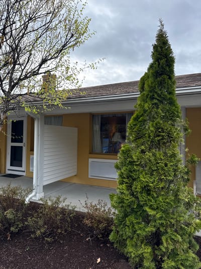 The image shows the exterior of a building in Laconia, New Hampshire, United States. The building has yellow siding and a brown shingled roof with a silver gutter. A tall, conical-shaped evergreen tree is positioned close to the building, partially obscuring a window with a white air conditioning unit. To the left, a bare tree with budding leaves is visible against a cloudy sky. The ground is covered with mulch and sparse shrubbery. A white drainpipe runs down the side of the building near an entrance with a glass door.