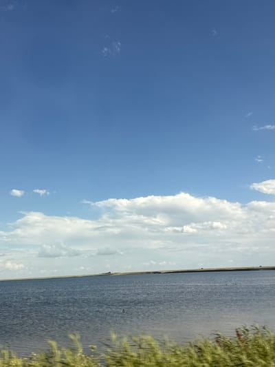 This is a landscape photograph taken in Divnoe, Russia. The image captures a body of water, likely a lake or large river, stretching horizontally across the frame from right to left. The water is a dark, choppy blue, reflecting the sky above. On the far right side of the image, tall green reeds or grasses are blurred by motion, suggesting they are either blowing in the wind or the photographer is moving.

The sky occupies the left side of the image and is a vibrant blue, dotted with scattered white clouds. The clouds range from small, wispy formations to larger, more substantial cumulus clouds, some of which are illuminated by sunlight, creating bright white masses against the blue. A thin strip of land is visible in the distance, separating the water from the sky, with a few very small, dark shapes that could be trees or structures. A very small dark shape, possibly a bird or a duck, is visible on the water.

The lighting suggests it is daytime, likely mid-morning or afternoon, with the sun high in the sky. The weather appears to be fair, with a clear blue sky and scattered clouds. The overall mood of the image is serene and natural. No text is visible in the image.