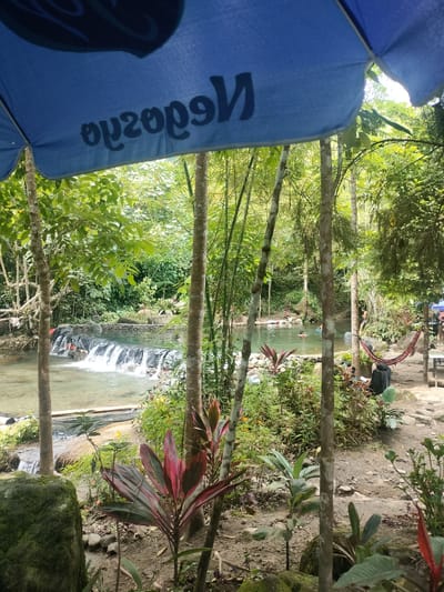 This is an outdoor scene featuring a natural swimming area with a waterfall. The foreground is dominated by lush green foliage and trees, with a large blue umbrella partially obscuring the top of the frame. The umbrella has black text on it, which appears to be a logo or brand name, possibly in reverse.
In the mid-ground, a clear body of water is visible, with a small, tiered waterfall cascading into it. The water appears shallow and inviting, with several people swimming and relaxing. Some individuals are partially submerged in the water, while others are on the bank. A red hammock is strung between two trees on the right side of the image, adding to the recreational atmosphere.
The background consists of dense green trees and foliage, typical of a tropical environment. The overall impression is one of a serene and natural resort or park, likely a popular spot for local recreation. Given the context of Kidapawan City, Philippines, this location could be a natural spring or a resort that utilizes the natural landscape.