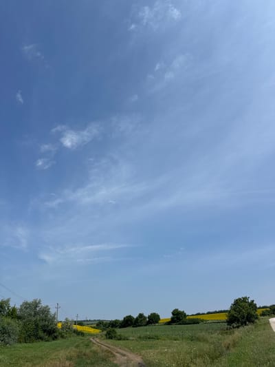 The image captures a rural landscape in Piscărești, Moldova, on a clear day with a bright blue sky dotted with wispy white clouds. A dirt road winds through a grassy field in the foreground. To the left, a dense group of trees and bushes borders the field, with power lines and utility poles visible behind them. In the mid-ground, a vast field of yellow sunflowers stretches towards the horizon. Further in the distance, a line of dark green trees forms a natural boundary. The overall scene depicts a serene, agricultural setting under a wide, open sky.