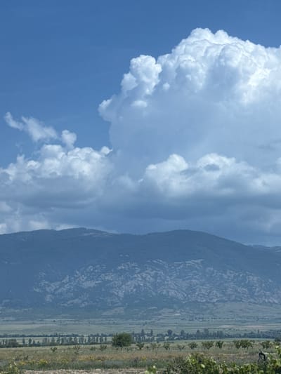 The image presents an expansive outdoor landscape under a bright, partly cloudy sky, characteristic of the area near Bliznets, Bulgaria. The upper third of the frame shows a clear blue sky, dominated on the right by a large, brilliantly white cumulus cloud with distinct vertical development. Scattered smaller white and grey clouds are visible elsewhere in the sky. Below these, a horizontal band of darker, diffuse grey clouds extends across the mid-upper portion. A prominent mountain range, appearing dark blue-grey, traverses the middle ground, displaying varying textures of forested slopes and lighter, rocky outcrops. Beneath the mountains, a wide valley stretches across the lower midground, composed of agricultural fields with shades of green and brown vegetation, segmented by lines of trees. The immediate foreground features uncultivated ground with dry grasses, patches of yellow wildflowers, and the vibrant green leaves of a cultivated crop, possibly grapevines, visible on the far right. No individuals, animals, or man-made structures are distinctly present within the scene.