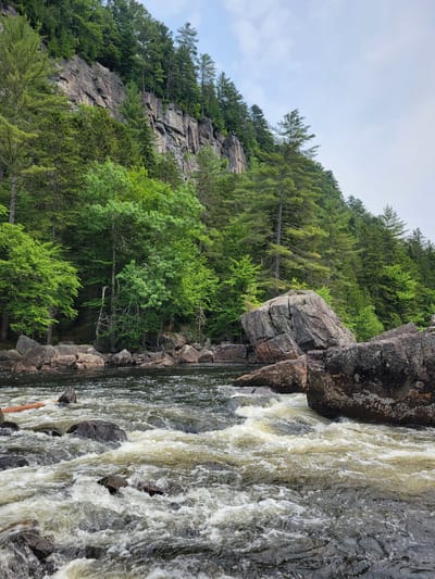 The image depicts a rugged natural landscape, likely a river flowing through a rocky, forested area. A steep, sheer rock face covered in trees dominates the background, suggesting a canyon or cliffside. The foreground is filled with a turbulent river, with whitewater rapids indicating a fast current and submerged rocks. Large boulders are scattered along the riverbanks and within the water, contributing to the challenging terrain. The vegetation is dense and green, consisting of various types of trees, predominantly coniferous. The sky is overcast, with light clouds. The scene conveys a sense of wild, untamed nature. The location is identified as Saint-Alban, Canada. There are no people or discernable actions taking place in the image.