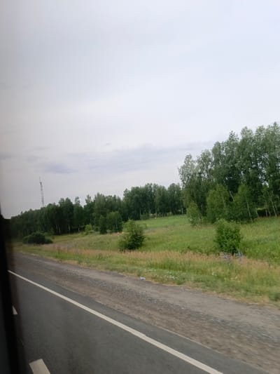 The image depicts a view from a vehicle traveling along a paved road with a white line marking the lanes. The road runs diagonally from the bottom left to the middle right of the frame. To the right of the road is a grassy field dotted with wildflowers. Beyond the field, a dense line of deciduous trees, primarily birch and possibly aspen, stretches across the horizon. In the far distance, a tall lattice tower, likely a telecommunications tower, is visible on the left side of the tree line. The sky is overcast and a uniform light grey. The overall scene suggests a rural or semi-rural landscape in Srednesibirskii, Russia, during daytime. No people or animals are discernible.