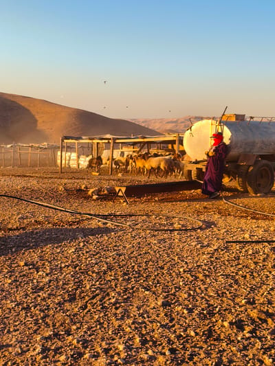 The image depicts a pastoral scene at sunrise in the location of Keidar, Palestinian Territories. A person, wearing a purple robe and a red headscarf that covers the lower half of their face, stands next to a large, silver water tank truck. The truck has a ladder attached to the side of the tank. In the background, a flock of sheep are gathered near a simple wooden shelter. The ground is covered with gravel and small rocks, and there are black hoses visible in the foreground. The sky is clear and blue, transitioning to a soft orange hue near the horizon, indicating the early morning light. The overall impression is one of rural life and animal husbandry.