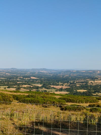 The image presents a wide, expansive view of rolling hills and fields under a clear, bright blue sky. In the foreground, a wire fence runs horizontally across the lower portion of the frame, partially obscuring a patch of dry grass and scattered purple wildflowers. Beyond the fence, the landscape unfolds into a mosaic of cultivated fields, predominantly in shades of green and yellow, interspersed with dark green patches of woodland. The terrain is varied, with undulating hills and distant mountains forming a hazy horizon. The overall impression is one of a rural, possibly agricultural, landscape bathed in sunlight. The location is specified as Cleehill, United Kingdom. There are no people or animals visible in the image.
