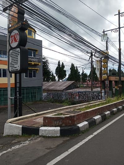 The scene depicts an urban street corner in Taohom, Laos, under an overcast sky. In the foreground, an asphalt road with a solid white line runs alongside a concrete curb, painted with alternating black and white sections. This curb borders a raised pedestrian area featuring a rectangular, weathered reddish-brown concrete planter box containing sparse green vegetation. A metal grate covers a drain opening in the paved surface adjacent to the planter.
To the left, a black pole supports multiple signs. The uppermost sign features a stylized human head silhouette above the text "TELP. 0878 1035 77XX". Below it, a circular sign displays white silhouettes of a cat and a dog on a red background. Further down, a rectangular black sign with white text is visible, partially obscured but showing phrases such as "Layanan Kesehatan Hewan," "Pet Shop," "Pet Grooming," "Mandi," and "Titip Hewan."
Behind this pole, a multi-story building stands, its upper floors primarily grey with a yellow trim detail, and its ground floor featuring an orange section and a green metal gate. To the right of the pedestrian pole, a jumble of black utility wires crisscrosses overhead, supported by multiple utility poles, one of which has a cluster of five yellow circular lights and a glass-enclosed lantern fixture. Further right, another dark street lamp pole with decorative scrollwork and a lantern is present.
In the midground, a series of lower-rise buildings with corrugated metal roofs are visible. A prominent wall separating the street from these structures is heavily covered in black and white graffiti. Beyond these buildings, a line of tall, slender evergreen trees is visible, with distant hills or mountains in the background. No individuals or animals are present.