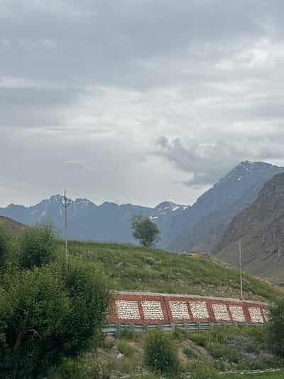 The image depicts a scenic mountain landscape under a cloudy sky. In the foreground, lush green vegetation, including bushes and a tree, dominates the left side. A retaining wall with a patterned design of red and white stones is visible, separating a grassy slope from a lower area with more vegetation and some purple wildflowers. Power lines and a utility pole are present in the mid-ground, running parallel to the mountainous backdrop. The background features a range of majestic mountains, some with patches of snow on their peaks, suggesting a high-altitude region.
This scene is likely located in or near the city of Dras, India, known for its stunning mountain vistas and challenging terrain. The presence of power lines and the retaining wall indicate human infrastructure within this natural environment. The overall atmosphere is one of serene, albeit somewhat overcast, natural beauty.