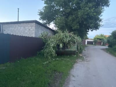 In Гожули, Ukraine, a light-colored, weathered building with a concrete block facade stands adjacent to a dark brown metal fence. A thin metal pipe extends vertically from the roof of the building, reaching above the roofline. To the right of the building, a large green dumpster is overflowing with branches and foliage from a nearby tree. The dumpster sits on a patch of green grass. A dirt or asphalt road runs alongside the grass and dumpster, extending into the background. Further in the background, more buildings and trees are visible under a pale sky with wispy clouds. The overall scene suggests the aftermath of tree trimming or debris removal.