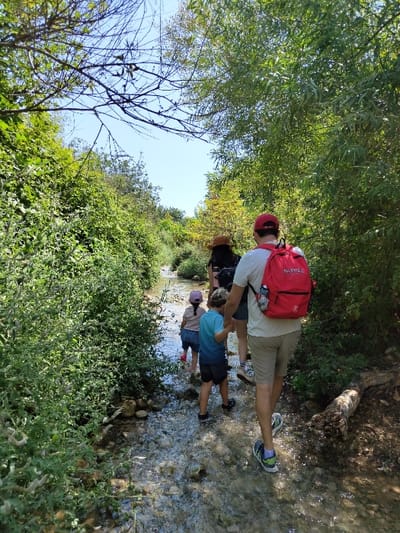 A daytime image captures four individuals, including two adults and two children, walking single-file through a shallow, rocky stream. The scene is located in a densely vegetated area within the Maale Yosef Regional Council, Israel.
The foremost individual, an adult male, is observed from behind, wearing a red baseball cap, a light-colored short-sleeved shirt, khaki shorts, and athletic shoes. He carries a red backpack with a water bottle in a side mesh pocket. Behind him, an adult female is seen from the back, wearing a wide-brimmed hat and dark clothing. Following her are two children: a boy in a blue t-shirt and dark shorts, and a girl in a light-colored top and blue skirt/shorts, wearing a pink cap. All subjects are wading in the clear, sun-dappled water.
The stream bed is composed of visible rocks and pebbles. Both banks are densely lined with various green foliage, including shrubs and trees. Thistle-like plants with light-colored blooms are visible on the left bank. A fallen log rests partially submerged on the right bank. The sky overhead is clear and blue. Natural sunlight illuminates the scene, creating bright reflections on the water surface.