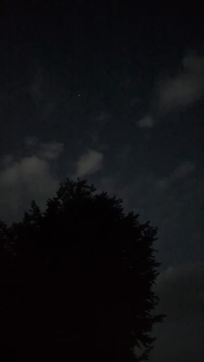 An outdoor, vertical, nighttime photograph shows the silhouette of the top of a tree against a dark, cloudy sky. A single bright point of light, likely a star or planet, is visible in the upper middle section of the sky. The tree is dark and obscures a significant portion of the lower half of the image, with its branches extending upwards into the sky. The clouds appear as smudges of lighter gray against the deeper darkness of the night sky. The scene is devoid of people or any recognizable landmarks that would specifically place it within Hetlingen, Germany.