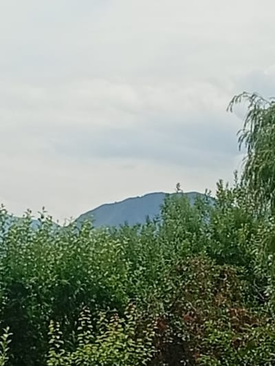A distant, dark blue mountain range forms the backdrop of this image. In the foreground, lush green trees and foliage are abundant, with some reddish-brown leaves interspersed. The sky above is overcast with light gray clouds. The scene appears to be outdoors, likely in a natural setting. The location is identified as Arashan, Kyrgyzstan.