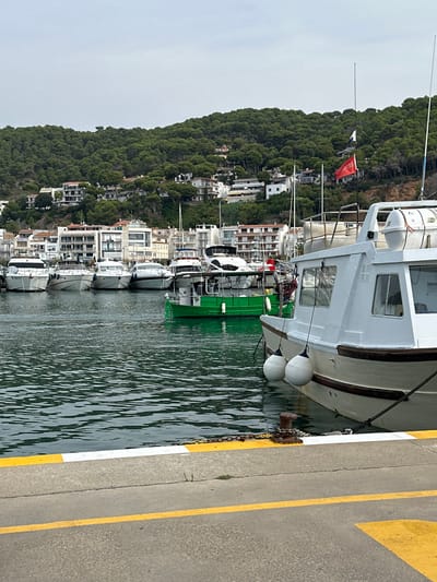 This image depicts a marina or harbor scene in Torroella de Montgrí, Spain, specifically an area with docked boats and a developed hillside. The foreground features a concrete pier with a yellow and white painted stripe marking its edge. A rusted metal bollard, wrapped with a dark chain, secures a dark mooring line from an adjacent white boat. The starboard side of this white boat is visible, equipped with two large white cylindrical fenders suspended against its hull above the water.
The midground is dominated by the calm, dark green water of the harbor. A bright green utility or fishing boat is centrally positioned, appearing to be underway or recently docked, facing left within the frame. Behind it and to its left, a row of several white pleasure yachts and motorboats are neatly moored. Another white vessel, partially obscured by the foreground boat, is visible to the right, featuring a red flag flying from an antenna and a white rectangular life raft container on its upper deck.
The background consists of a steep, densely forested hillside covered with evergreen trees, likely pines. Numerous multi-story, light-colored buildings, ranging from residential to possibly commercial, are scattered across the hillside, some with balconies and terraced designs. The sky above is overcast and uniformly light gray. No individuals are visible within the frame.