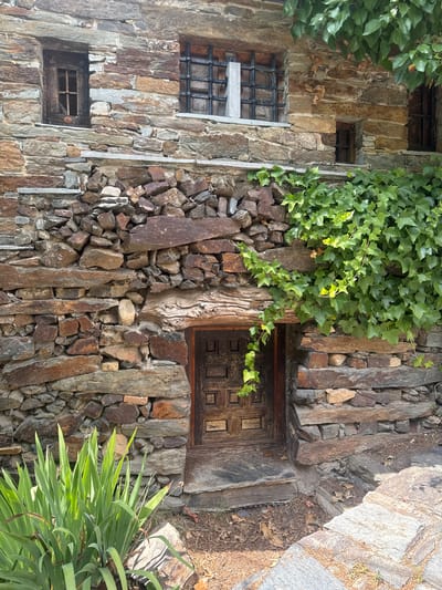 The image shows the exterior of a stone building in the historic town of Patones de Arriba, Spain. The building's facade is constructed from irregular, layered stones in various earthy tones. A dark wooden door, set within a recessed opening, features a traditional, carved design. Above the door, ivy vines with vibrant green leaves cascade down the stone wall, partially obscuring the structure. Two windows are visible on the upper portion of the building. The left window has a wooden frame with a metal grate and a small round knob. The right window is partially visible and also appears to have a wooden frame and grate. In the foreground, a cluster of tall, spiky green plants grows near the base of the building. The ground around the entrance is covered with dry leaves and soil, with some larger stones forming a pathway.