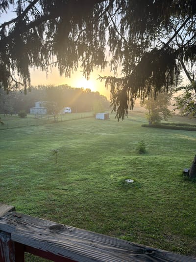 The image shows a rural landscape at sunrise, likely in or near Holt, United States. The foreground features a weathered wooden railing, possibly from a porch or deck, with some debris on it. Beyond the railing, a dew-covered green lawn slopes gently towards a treeline. In the mid-ground, there are several structures: a white barn with a cross-shaped design on its doors, a smaller white shed, and a recreational vehicle parked near the barn. A fence surrounds a portion of the property. The sunrise casts a warm glow and creates a misty atmosphere, with sunbeams piercing through the branches of a large evergreen tree in the upper left of the frame. The overall scene depicts a peaceful morning in a rural setting.