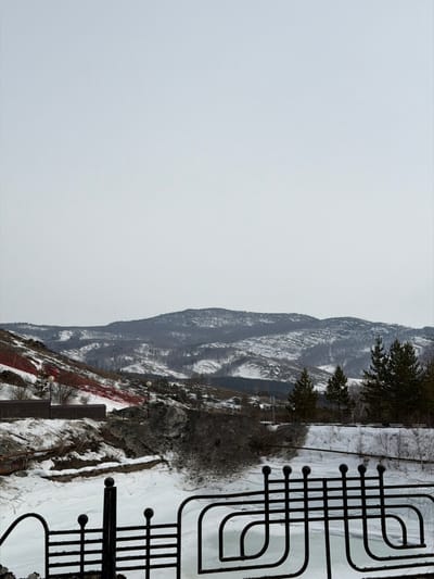 The image depicts a winter landscape in Novoabzakovo, Russia, under an overcast, light grey sky. In the immediate foreground, a decorative black metal railing with alternating horizontal bars and curvilinear, S-shaped elements extends across the lower portion of the frame. Below the railing, a body of water, likely a river or canal, is frozen solid and covered in a layer of snow and ice.

The midground features a snow-covered terrain. To the left, a hillside is visible, with a distinctive area covered in a broad swath of bright red material, possibly a fabric or netting, laid diagonally across the snow. Two street lamps with light-colored globe fixtures and dark poles are situated on this left slope. Exposed dark earth and rock formations are present throughout the midground, contrasting with the snow. Several evergreen trees (pines) and some bare deciduous trees are scattered across the landscape. On the right, a dark, rocky embankment descends towards the frozen water, with a segment of a paved surface or road and a partial white sign visible beyond it.

The background consists of multiple layers of snow-covered mountains and hills, sparsely forested with dark evergreen trees, indicating a mountainous or hilly region. No individuals or observable actions are present within the scene.