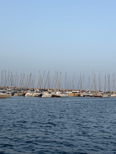 The image displays a vertical panorama of a marina, with a vast expanse of blue water on the right and a clear, pale blue sky on the left. The marina is filled with a dense congregation of sailboats, their masts creating a striking, linear pattern against the sky. The boats are moored side-by-side, suggesting a busy harbor.

The boats appear to be predominantly white with some variations in hull color. Their sails are furled, indicating they are docked rather than actively sailing. The water exhibits a textured surface with ripples and small waves, suggesting a calm but not perfectly still day.

The composition is dominated by the stark contrast between the calm sky, the textured water, and the orderly arrangement of boat masts. The lighting suggests it is daytime, possibly late morning or early afternoon, given the clear sky and the way light reflects off the water and boat structures. No people are clearly visible in the image, focusing the attention solely on the boats and the natural elements of the sea and sky.

The context of Thiniscole/Siniscola, Italy, implies a Mediterranean setting, characterized by such coastal towns and their associated marinas. The overall scene evokes a sense of tranquility and order, typical of a well-managed marina. There is no visible text in the image.
