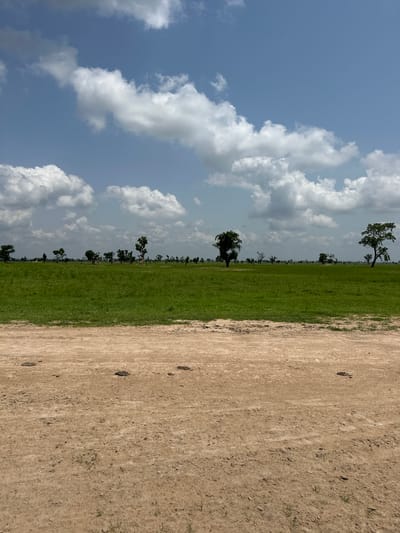 This vertical media file captures a landscape scene in Garin Dogo, Nigeria. The image is divided into two distinct sections. The left side of the frame is dominated by a bright blue sky filled with fluffy white cumulus clouds, suggesting fair weather. Scattered amongst the clouds are patches of lighter blue, indicating a clear sky in some areas.

The right side of the frame depicts a transition from a vibrant green grassy field to a dry, sandy terrain. The grassy field is extensive and appears to be a savanna or parkland, with several trees dotting the horizon. These trees, mostly tall and slender with leafy canopies, are lined up in the distance, creating a sense of depth. In the foreground of the grassy area, a few larger trees are more prominently featured. The sandy area is a light brown color, characterized by its rough texture and sparse vegetation, with a few small green shoots visible. Several dark, irregular shapes are scattered across the sand, which could be rocks or debris.

The image appears to be taken during the daytime, likely late morning or early afternoon, given the brightness of the sunlight and the clear sky. There is no indication of any specific activity or event taking place; it is a static landscape shot. The overall mood is peaceful and serene, typical of a natural outdoor environment. No text is visible in the image.