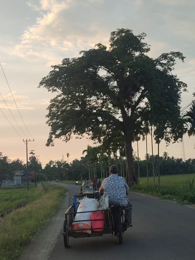 The image depicts a scene on a paved road in Pulorayeuk, Indonesia, during what appears to be late afternoon or early evening, given the soft, warm light and cloudy sky. In the foreground, a man wearing a patterned shirt and grey pants rides a motorcycle with a sidecar attached. The sidecar is laden with several large sacks, one white with orange accents, and a red container. The motorcycle and sidecar are moving away from the viewer.
Further up the road, another motorcycle with at least two occupants is visible. The road is bordered on the left by a grassy verge and further back by vegetation and some buildings, including a house with a dark roof. On the right side of the road, a large, mature tree with a thick trunk and expansive branches dominates the mid-ground, casting a shadow. Behind the tree, a field of green crops stretches into the distance, with rows of slender palm-like trees interspersed. In the far background, more vegetation and a power pole with wires are visible against the sky. The overall impression is a rural or semi-rural setting in Indonesia.