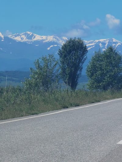 The image displays a landscape scene with a road in the foreground and snow-capped mountains in the background. The road, paved with asphalt, has a white line marking its edge. To the right of the road, there is a grassy area. Beyond the road and grass, several trees are visible, some tall and slender, others more full and rounded. In the distance, a mountain range with snow-covered peaks dominates the horizon, under a clear blue sky with scattered clouds. The overall impression is of a scenic, natural environment. There are no people or buildings visible in the image.