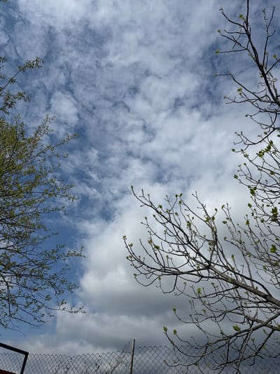 The image depicts a view upwards toward a partly cloudy sky, framed by tree branches with sparse, light green leaves in the foreground. A section of wire fence is visible at the right edge of the image. The scene is located in Mendovo, Bulgaria. No people are visible.