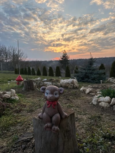 The image displays an outdoor garden scene at sunset in Pobit Kamak, Bulgaria. In the foreground, a brown, textured teddy bear figurine with a red bow tie and light blue-accented eyes sits upright on a weathered, dark brown tree stump. The ground immediately around the stump consists of dry grass and exposed soil.
The midground features various garden elements: another tree stump is visible to the left, behind the main subject, alongside a red mushroom-shaped ornament and a small solar light. A collection of light-colored rocks forms a border or feature to the right and further back, interspersed with sparse green vegetation. A line of uniformly shaped, dark green conical evergreen shrubs extends horizontally across the middle distance, behind which stands a taller, blue-green conifer to the right. Bare deciduous trees are visible on the far left.
The background shows a distant treeline or low hills silhouetted against a dramatic sunset sky. The sky is largely covered with an array of patterned clouds, illuminated from below by the setting sun, casting warm hues of orange, yellow, and pink, transitioning to a lighter blue-grey higher up. The overall lighting indicates late afternoon or early evening.