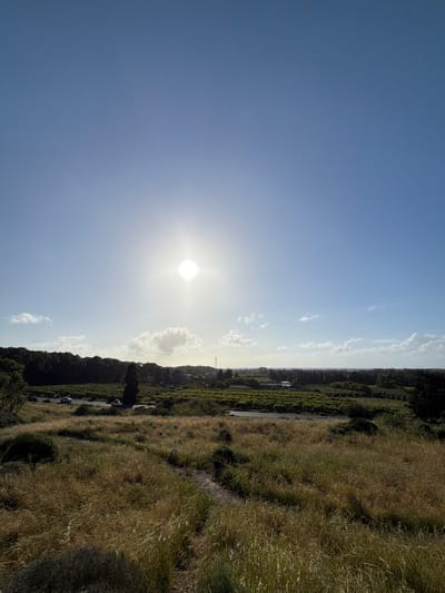 The image depicts a bright, sunlit scene near Kfar Vitkin, Israel. The sky is predominantly clear blue, with the sun prominently positioned in the frame. A narrow strip of land is visible along the right side of the image, showing tall, dry grass. A road runs parallel to the grass, with a few vehicles visible on it. Further in the distance, there's a line of trees and vegetation along the horizon. A few buildings are barely visible in the distance.