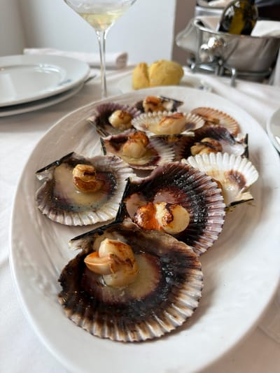 A white oval platter on a white tablecloth holds approximately fourteen seared scallops presented in their bottom shells. Each scallop features a browned adductor muscle resting in a small pool of liquid. Visible details include ridged shell exteriors with varying shades of brown, purple, and white. To the left, a stack of two white ceramic plates with blue rim detailing is partially visible. Above and to the left of the platter, a stemmed wine glass containing a pale yellow liquid is positioned. In the background, out of focus, a silver ice bucket containing a dark bottle (likely wine) is present, along with a piece of light brown bread. The scene depicts a meal being served in a restaurant environment in Colunga, Spain. No individuals are visible.