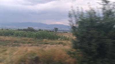 The image captures a blurry, landscape view, likely taken from a moving vehicle. The foreground is dominated by blurred grassy fields and vegetation in shades of green and golden brown, with some indistinct white flowers visible. In the middle ground, a line of green bushes and trees stretches across the scene, with a few taller trees standing out. Beyond this, a valley unfolds with a distant settlement, characterized by scattered buildings and a hazy, mountainous backdrop under a cloudy sky. The motion blur suggests a fast-moving perspective. The scene is set in the vicinity of Novo Leski, Bulgaria.