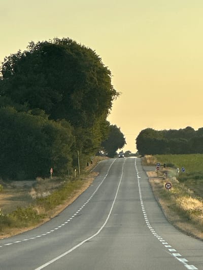 The image depicts an empty, two-lane asphalt road curving uphill towards a distant horizon under a pale yellow sky, likely at dawn or dusk. The road is lined with dashed white markers on the left and a solid white line on the right, indicating its edges. On the left side of the road, dense, dark green trees and foliage dominate the landscape. On the right side, the road is bordered by dry, golden grass and a green field, with more dark green trees in the distance. Several road signs are visible along the right side: one octagonal red and white sign, a blue circular sign with a white 'P' and a blue arrow, and two circular signs with red borders and diagonal red lines, one with an arrow indicating no left turn and another with an arrow indicating no right turn. A dark-colored car is visible in the distance, ascending the hill. The overall scene suggests a rural setting in Bolleville, France, characterized by its natural landscape and essential road infrastructure.