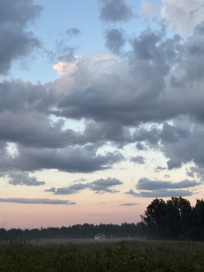 The image depicts a rural landscape under a dramatic sky filled with large, dark clouds interspersed with patches of light blue and pale pink. In the foreground, tall grass and wild plants are visible, indicating a field. In the middle ground, a hazy field stretches towards a dark line of trees that forms the horizon. A small, light-colored building, possibly a house, is situated in the distance to the left of center, amidst the haze. To the right, a dense cluster of trees stands against the horizon. The lighting suggests either dawn or dusk, with soft, diffused light casting a pinkish hue on the lower part of the sky. The scene is tranquil and appears to be located in a natural or semi-developed outdoor environment.
