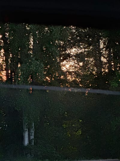 The image shows an outdoor scene at dusk in what appears to be Ягул, Russia. On the left side, there is a dark, undefined structure, possibly a building. Adjacent to it are dense trees with sunlight filtering through the leaves. To the right of the trees is a vertical line suggesting a utility pole. Beyond the pole, more greenery is visible, concealing a pair of stacked, light-colored pipes.