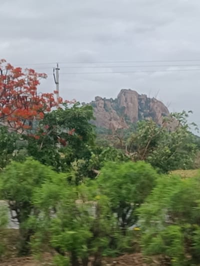 The image depicts a natural landscape dominated by rocky hills and lush greenery under a cloudy sky. In the foreground, a dense array of green bushes and trees obscures the lower part of the scene. A vibrant tree with red flowers is visible on the left side, adding a splash of color. Behind the foliage, a series of power lines stretches across the sky, supported by a utility pole. The backdrop features imposing, weathered rock formations that rise majestically. The overall impression is one of a rural or semi-rural setting, possibly on the outskirts of Addakal, India, given the prominent natural elements and utility infrastructure. The scene is captured in a slightly blurred manner, suggesting movement or a quick snapshot.