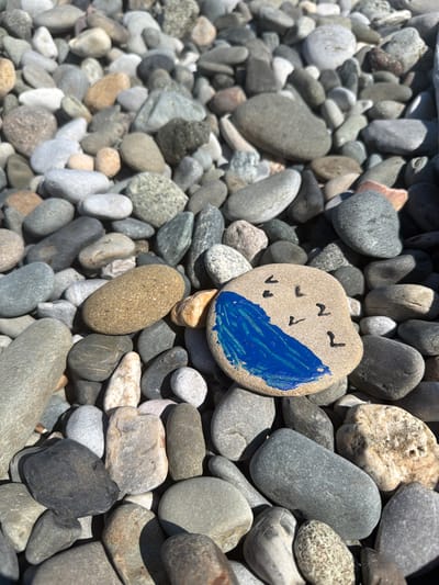 This image shows a collection of smooth, rounded pebbles on a beach. One pebble in the center of the frame is decorated with a painted blue wave and several small black bird-like figures, suggesting a whimsical, artistic touch applied to natural elements. The pebbles vary in size, color, and texture, ranging from light grey and white to darker greys and browns, with some exhibiting speckled patterns. The lighting suggests a sunny day, casting distinct shadows from the pebbles and highlighting their contours. The scene appears to be a beach or shoreline, consistent with the location context of Amzara, Abkhazia. There is no visible text in the image. The overall impression is one of a peaceful, natural setting enhanced by a simple, charming piece of art.