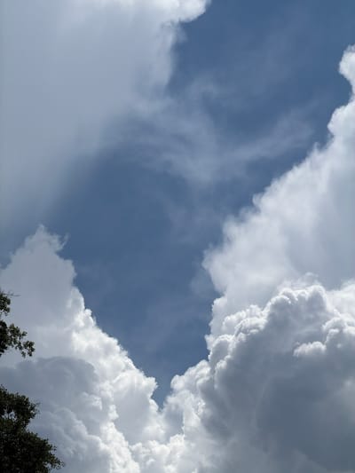 This is a photograph of a sky with clouds, taken from ground level. The sky is a deep blue, with large, fluffy white clouds dominating the frame. Some of the clouds are darker, suggesting they are thicker and may contain rain. The bottom left of the image shows the dark green leaves of a tree. The perspective of the shot suggests it was taken on a sunny day, likely in Chamblee, United States of America. There are no people or man-made objects visible in the image.