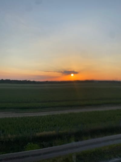 The image depicts a sunset over a rural landscape, presumably in the vicinity of Podłęże, Poland. The sun, a bright orange orb, is partially obscured by a wispy cloud, casting a warm glow across the sky, transitioning from pale blue at the top to shades of yellow and orange near the horizon. Below the sky, a vast expanse of green fields stretches out, appearing to be agricultural land with distinct rows or sections. A dark line of trees forms a distant horizon against the vibrant sky. In the foreground, a narrow dirt path or road runs horizontally across the image, separating the fields. The overall impression is one of tranquility and natural beauty during the twilight hours.