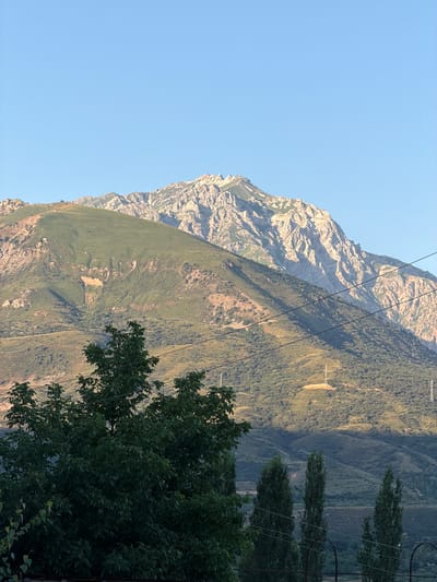 The image depicts a mountainous landscape under a clear blue sky. In the foreground, a dense green tree with a dark canopy dominates the lower left portion of the frame. Behind the tree, several tall, slender trees stand in a line. The middle ground features a gently sloping, green mountainside, with some lighter-colored patches and visible contours that suggest human activity or natural erosion. Several power lines are visible stretching across the mid-section of the image. Further in the background, a rugged, rocky mountain peak rises majestically, its face illuminated by sunlight, creating stark contrasts of light and shadow. The overall environment suggests a natural setting, possibly on the outskirts of a populated area, given the presence of power lines and structures visible on the distant hills. The scene is captured during daylight, with the sun likely positioned to the right, casting long shadows. The location is identified as Brichmulla, Uzbekistan.