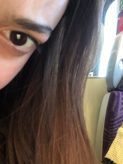 The image is a close-up, partial view of an individual within what appears to be the interior of a passenger transport vehicle, such as a train or bus. The location in the city of Eckwersheim, France, cannot be confirmed from the visual information presented.
On the left side of the frame, the left eye of a person is visible, featuring a dark brown iris with a rectangular light reflection, and a dark, shaped eyebrow. Dark eyelashes are present, with visible eyeliner extending from the outer corner. The skin surrounding the eye is light-toned. To the right of the eye, and occupying the majority of the central and lower frame, is a mass of long, dark brown hair with lighter reddish-brown highlights, flowing downwards and to the right.
In the background, to the right of the hair, elements of the vehicle's interior are discernible. A light-colored panel or wall segment is visible, partially obscuring a bright window. Above a seatback, a gray or silver-colored object with a circular indentation or button is mounted. Below this, a portion of a purple-patterned fabric seat cushion is visible. In the bottom right corner, a cream or beige knitted garment with a dark horizontal stripe is partially present. No specific actions or interactions are occurring.